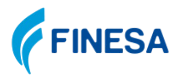 Finesa